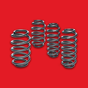 Lowering Springs