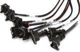 Haltech Elite 2500 + GM GEN 3 LS1 LS6 Harness